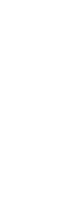 豚肉は飛騨高山PLEASURE ポーク